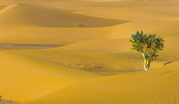 Quelques bonnes raisons de rester optimiste face à la crise climatique