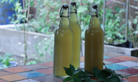 Comment faire de la lessive de lierre et ses variantes