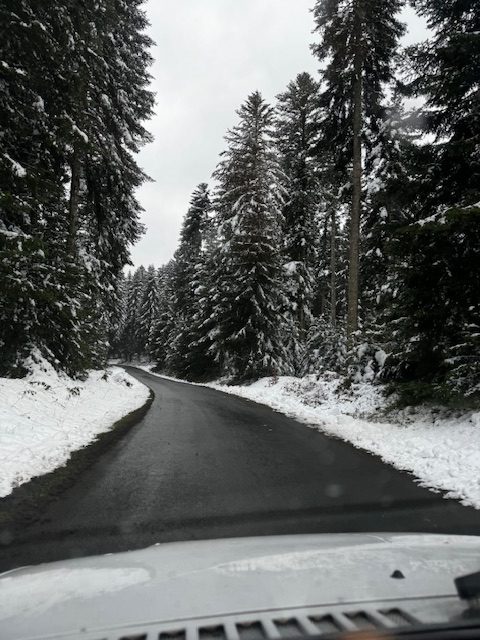 Résilience des territoires