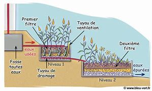 Phyto générale Schema phytoépuration