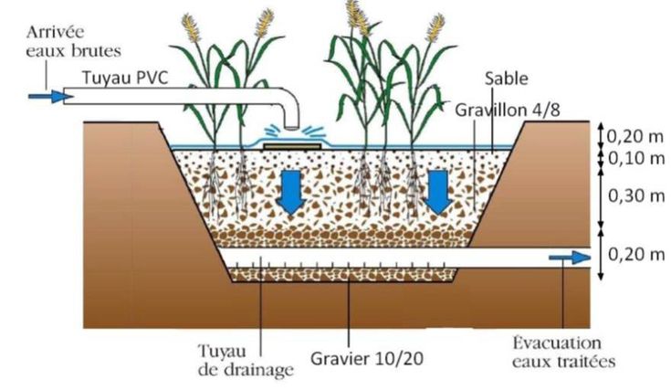 Système de filtrage des eaux grises